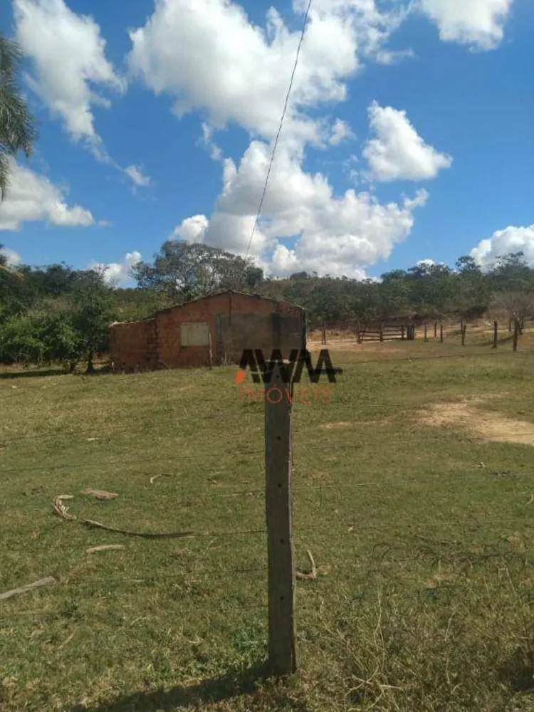 Fazenda, 396 hectares - Foto 8