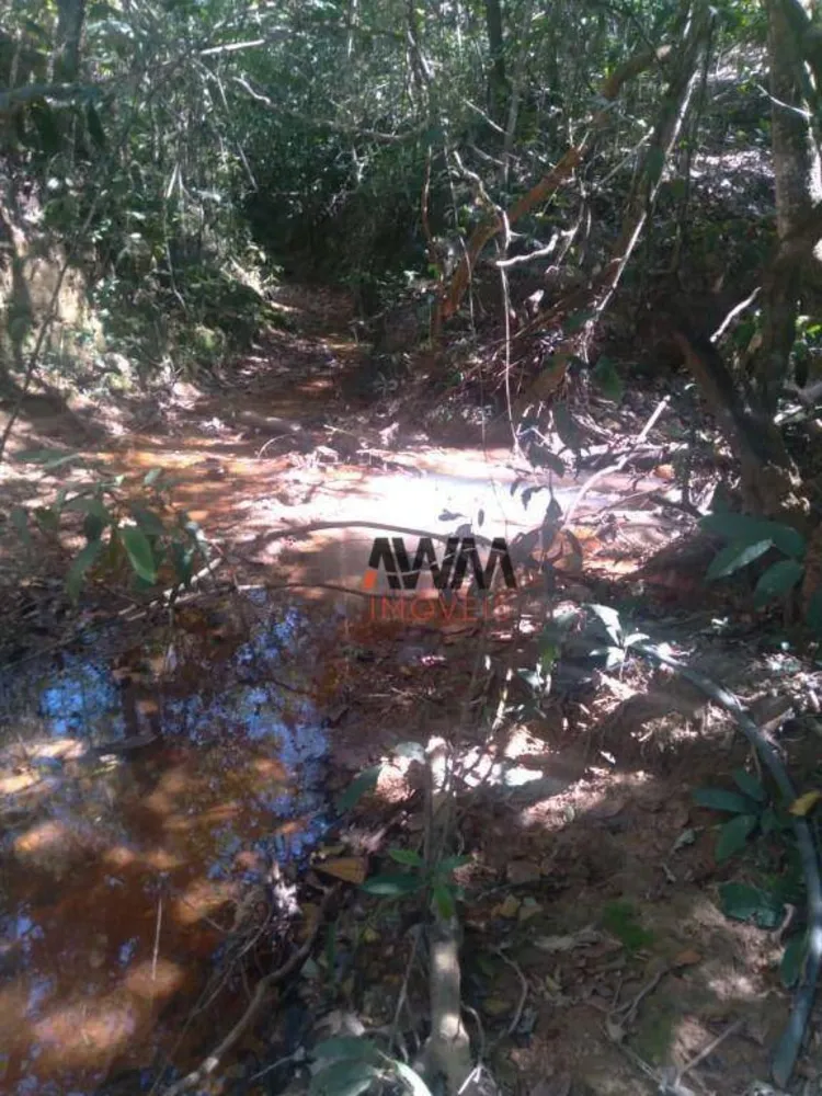 Fazenda, 396 hectares - Foto 3