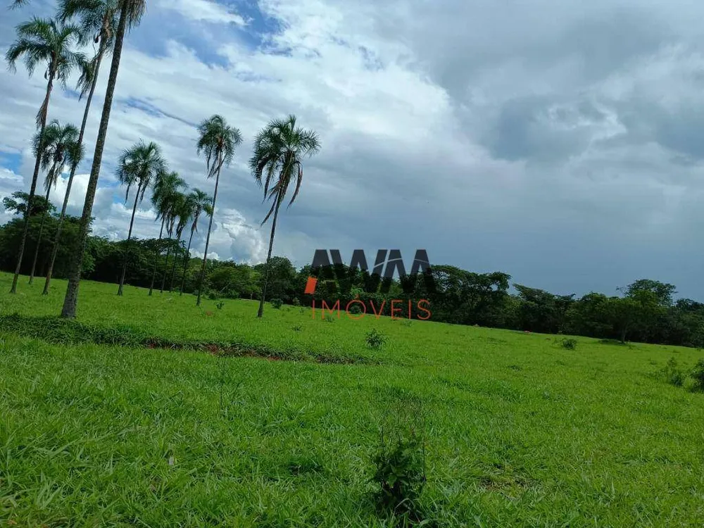Fazenda, 396 hectares - Foto 15