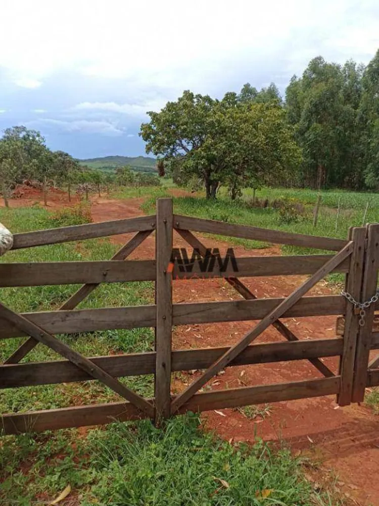 Fazenda, 396 hectares - Foto 11