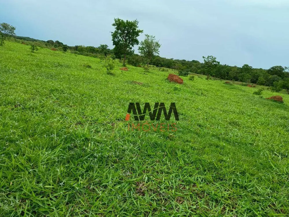 Fazenda, 396 hectares - Foto 16