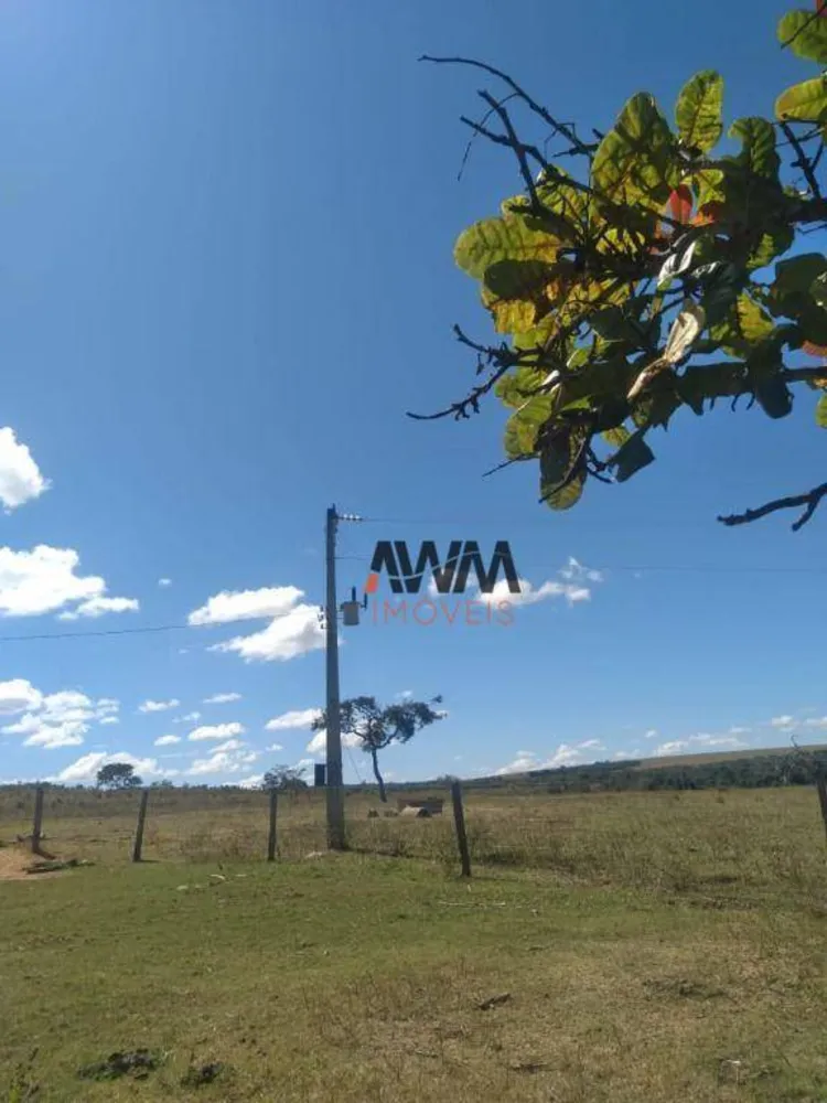 Fazenda, 396 hectares - Foto 9