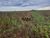 Fazenda-Sítio-Chácara, 15000 hectares - Foto 3