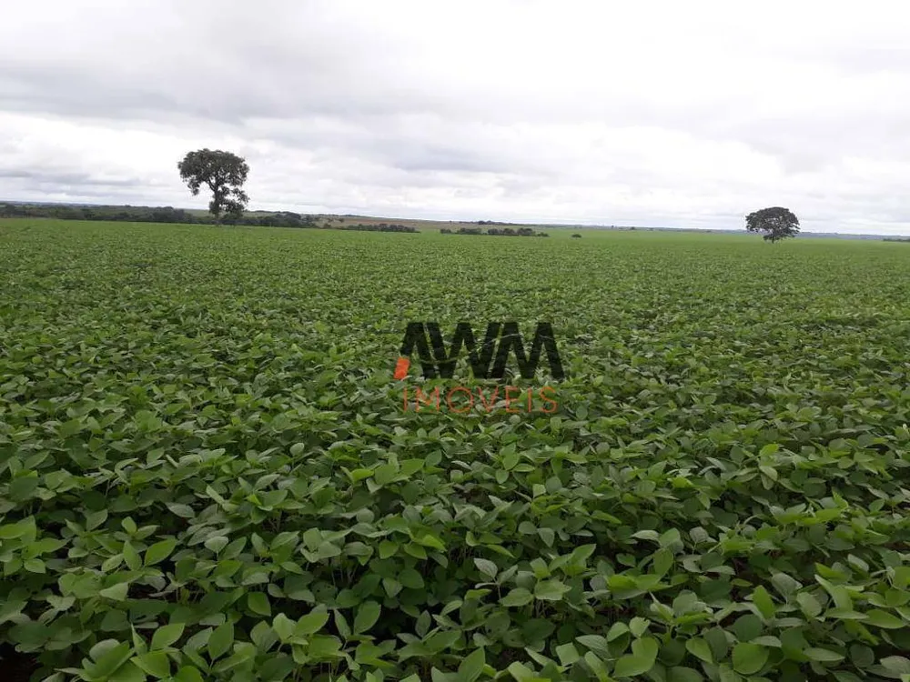 Fazenda, 1152 hectares - Foto 6