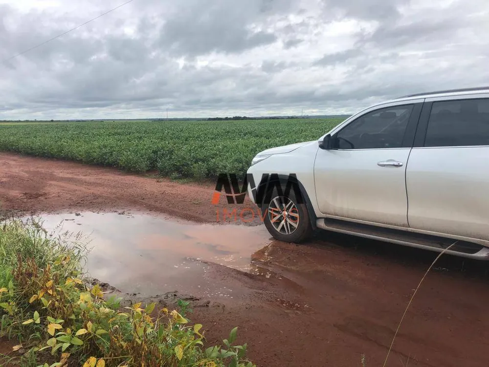Fazenda, 1152 hectares - Foto 7