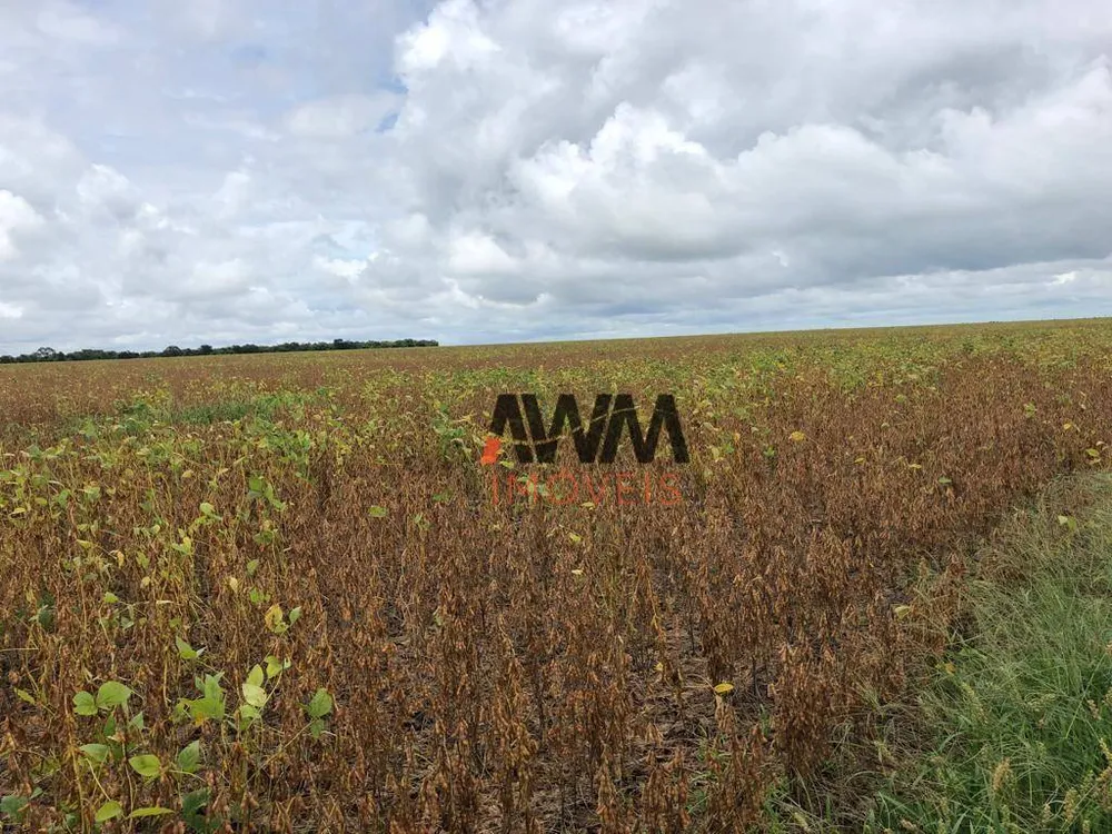 Fazenda, 1152 hectares - Foto 4