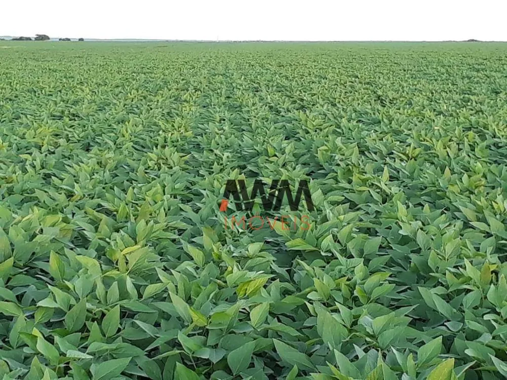 Fazenda, 1152 hectares - Foto 2
