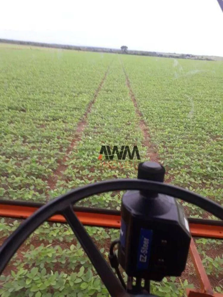 Fazenda, 1152 hectares - Foto 9