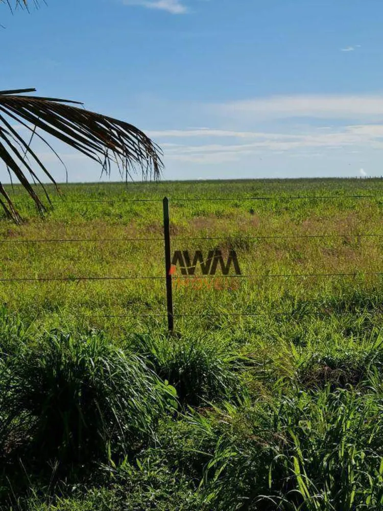 Fazenda, 20303 hectares - Foto 12
