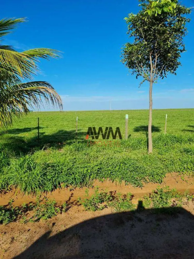 Fazenda, 20303 hectares - Foto 10