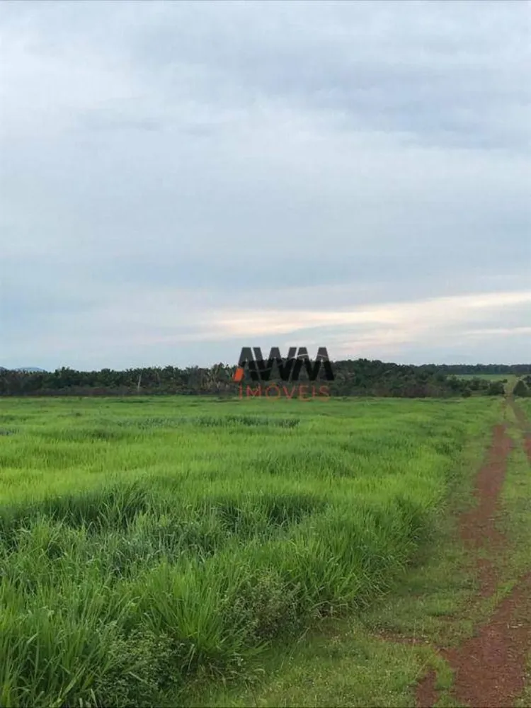 Fazenda, 20303 hectares - Foto 11