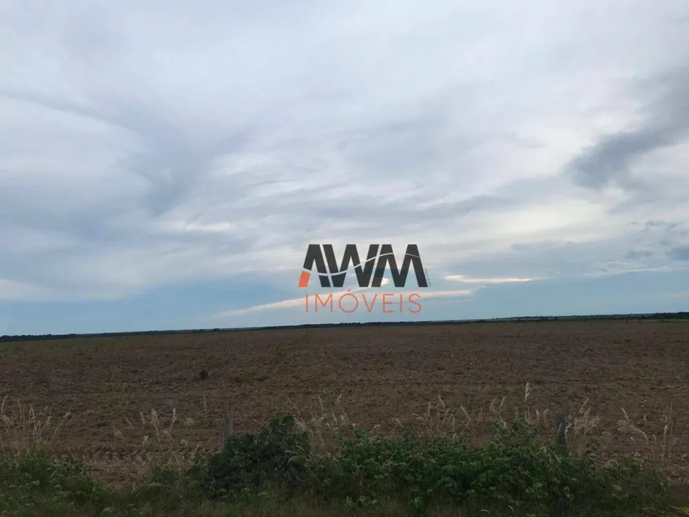 Fazenda, 20303 hectares - Foto 7
