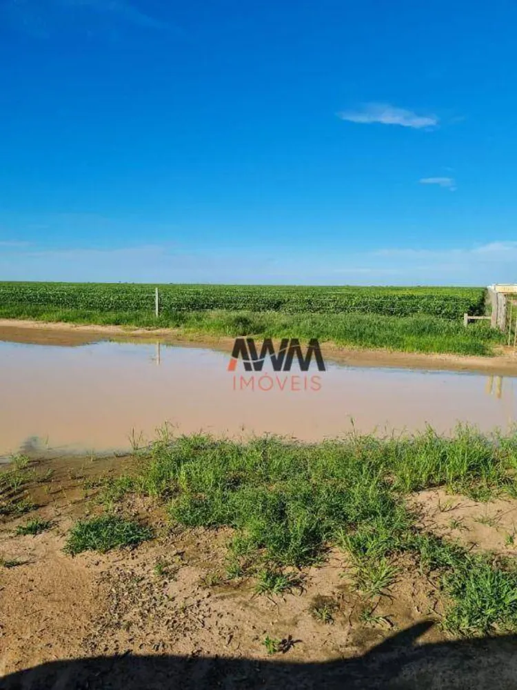 Fazenda, 20303 hectares - Foto 8