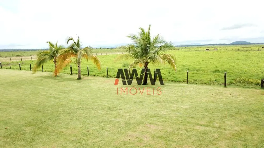 Fazenda, 20303 hectares - Foto 6