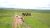 Fazenda, 20303 hectares - Foto 1