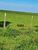 Fazenda, 20303 hectares - Foto 4