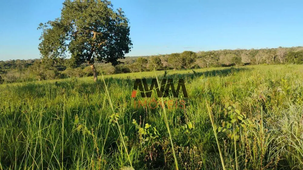 Fazenda, 133 hectares - Foto 9