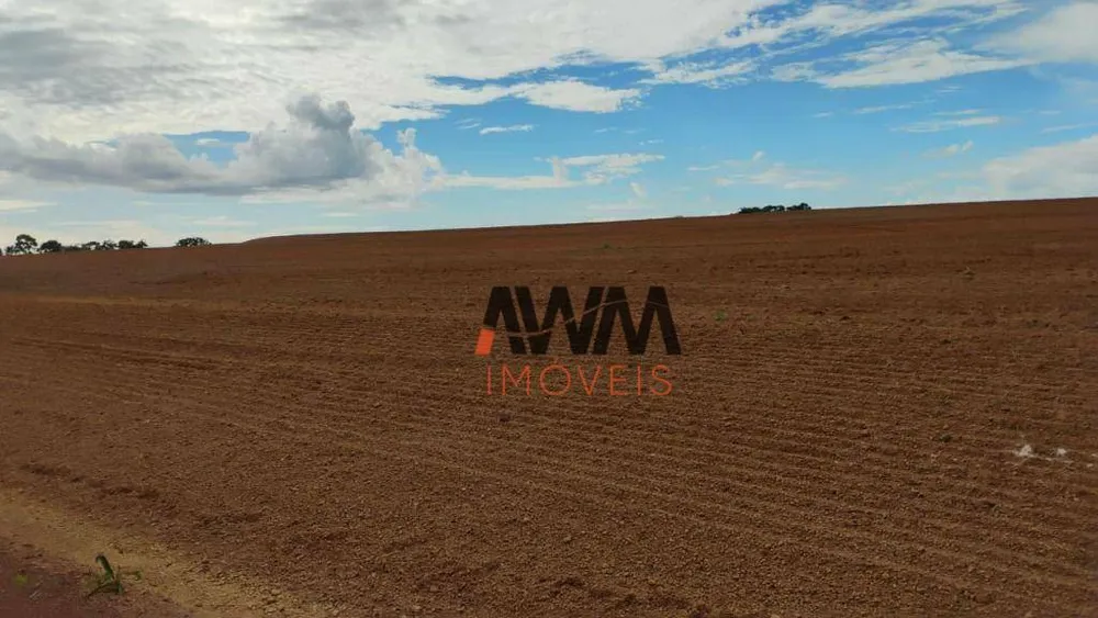 Fazenda, 133 hectares - Foto 2