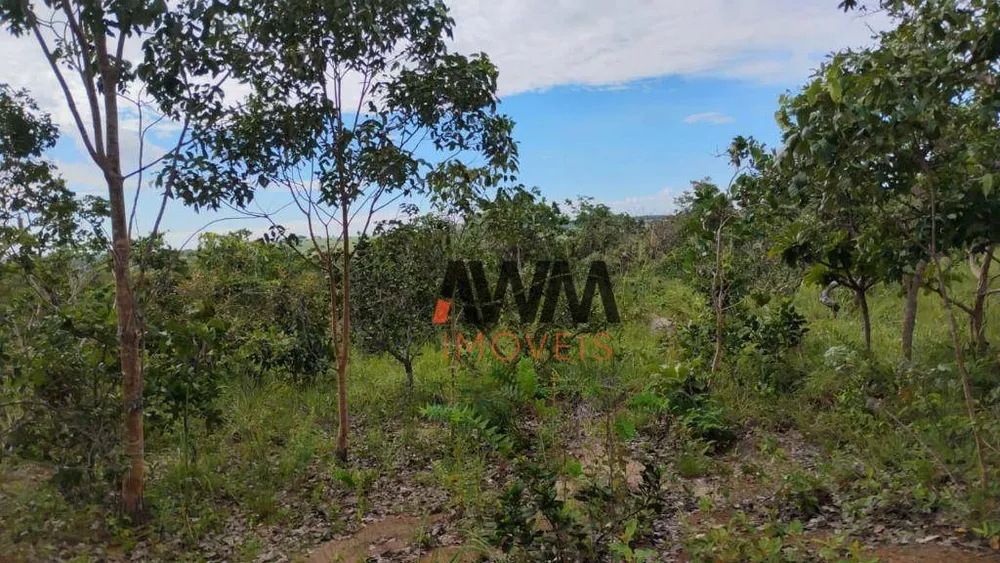 Fazenda, 133 hectares - Foto 12