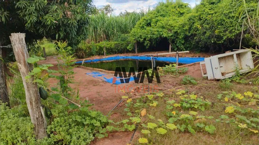 Fazenda, 133 hectares - Foto 7