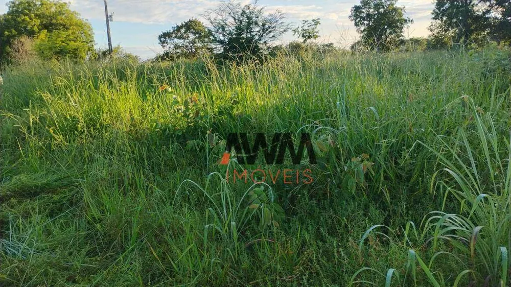 Fazenda, 133 hectares - Foto 10