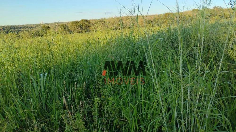 Fazenda, 133 hectares - Foto 11