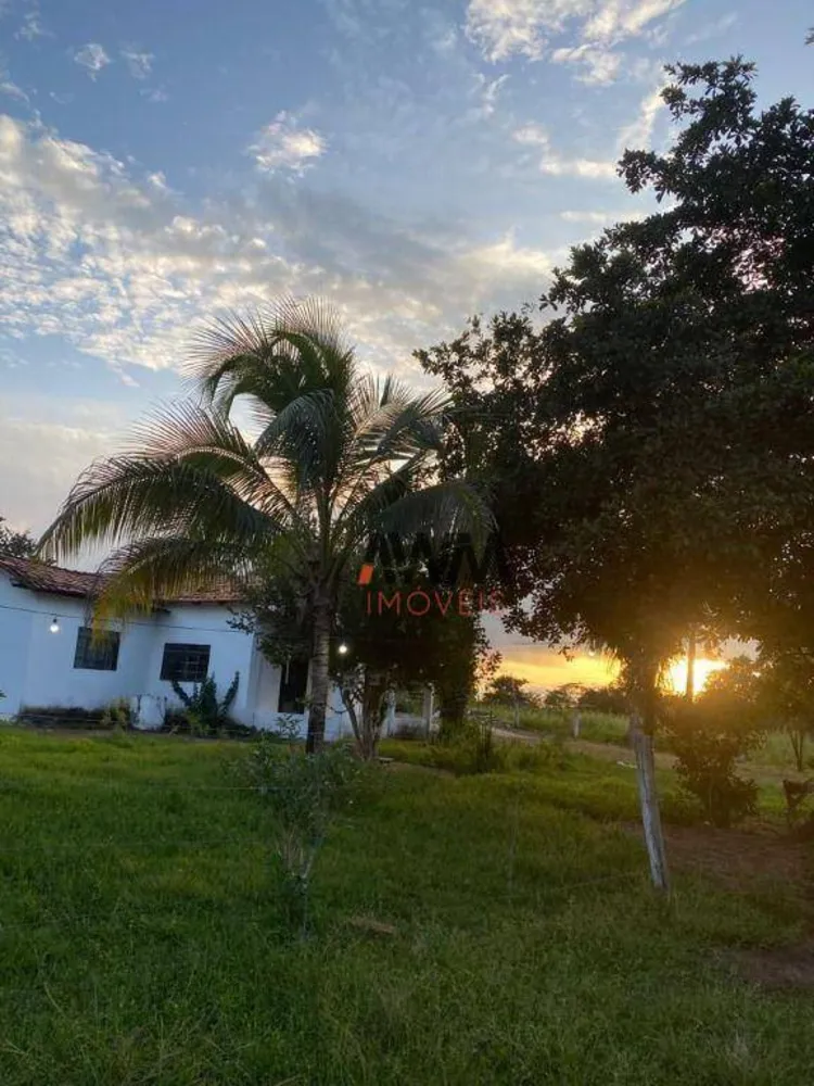 Fazenda, 133 hectares - Foto 4