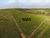 Fazenda, 12100 hectares - Foto 2
