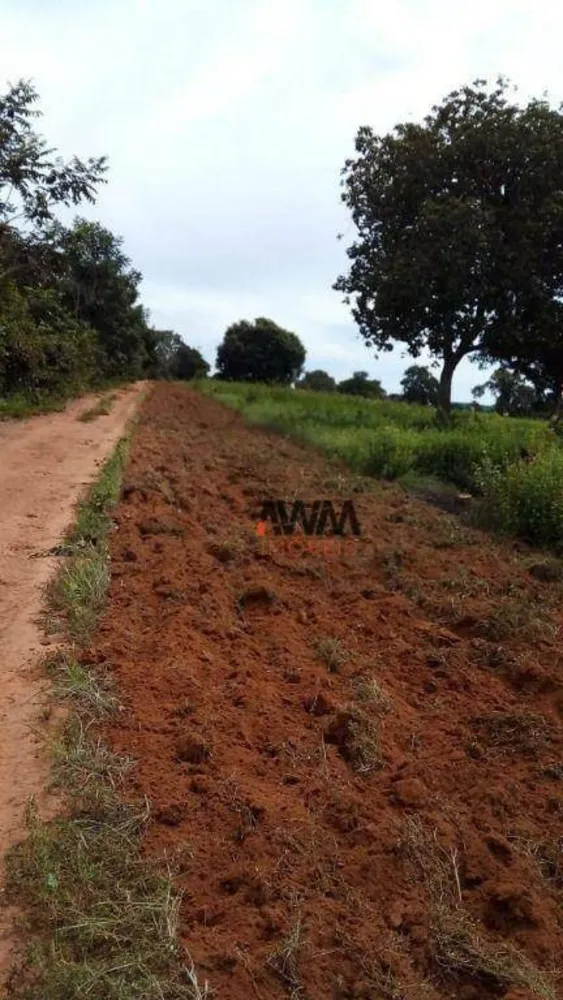 Fazenda, 1999 hectares - Foto 4