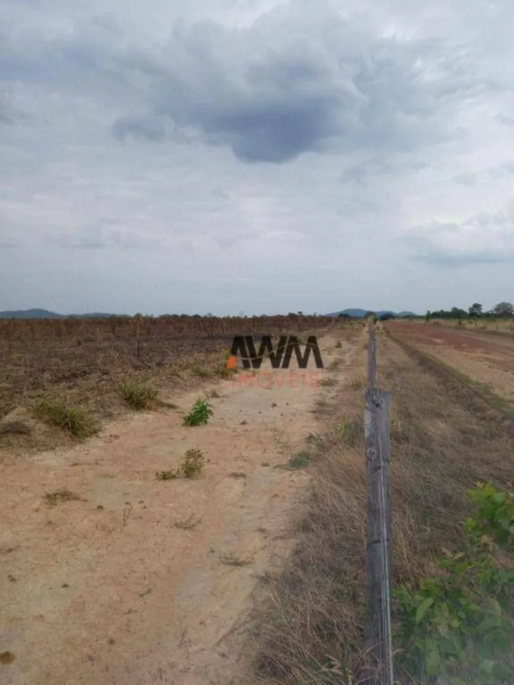 Fazenda, 1999 hectares - Foto 6