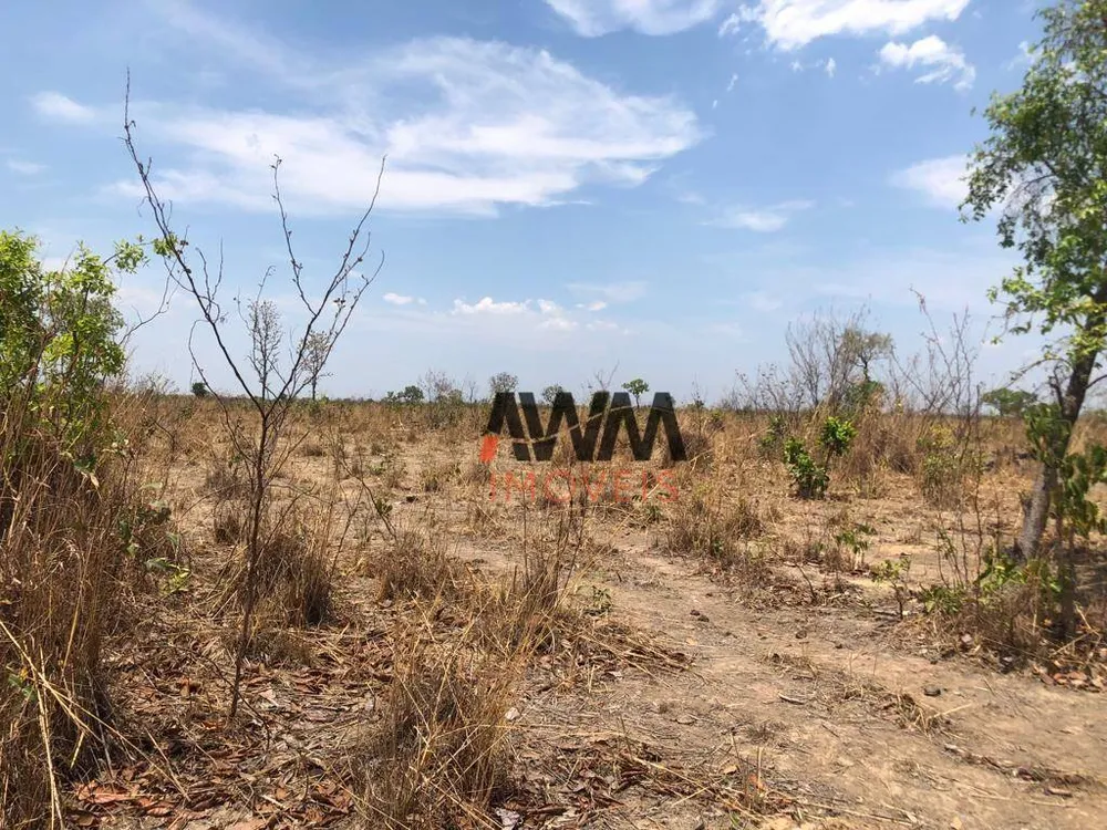 Fazenda, 1462 hectares - Foto 4