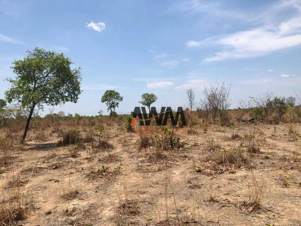 Fazenda, 1462 hectares - Foto 10