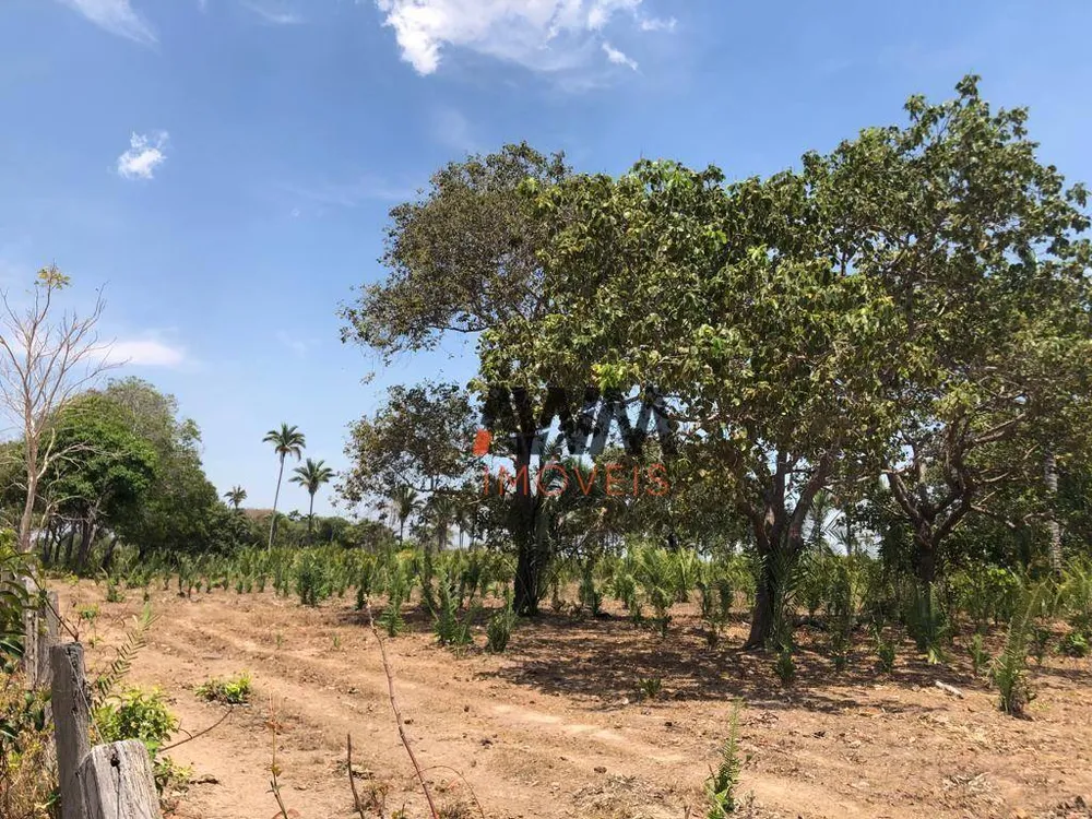 Fazenda, 1462 hectares - Foto 2