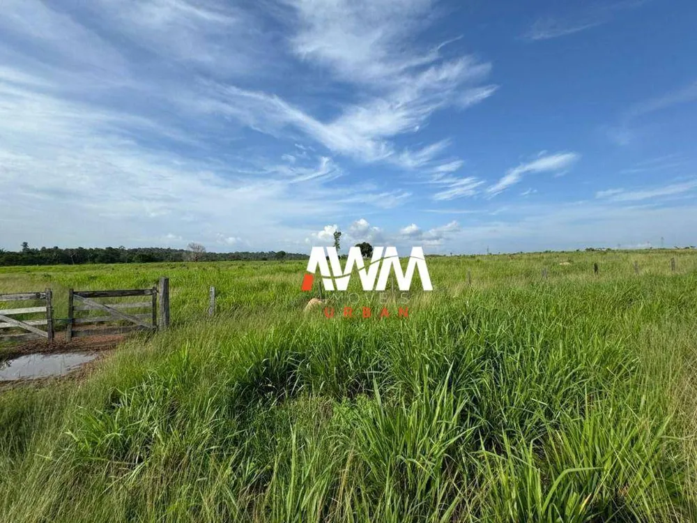 Fazenda, 865 hectares - Foto 8