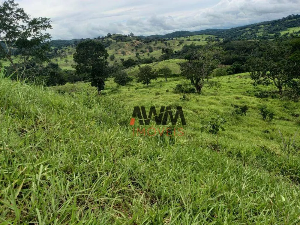 Fazenda, 169 hectares - Foto 8