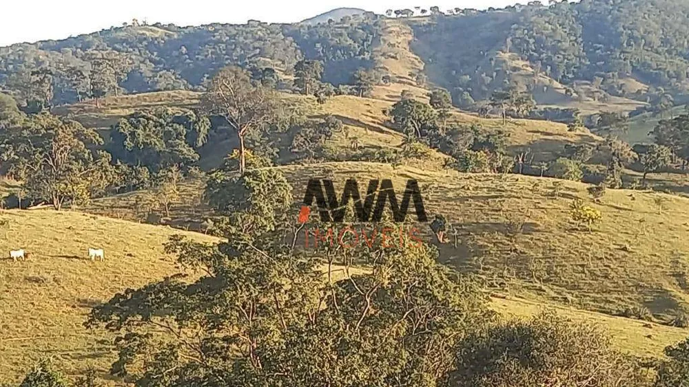 Fazenda, 169 hectares - Foto 1