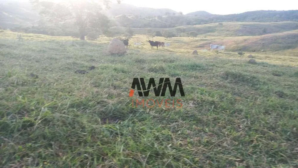 Fazenda, 169 hectares - Foto 4