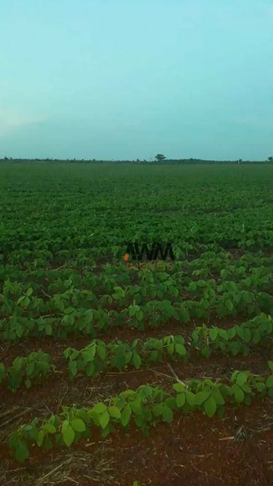 Fazenda, 5227 hectares - Foto 8