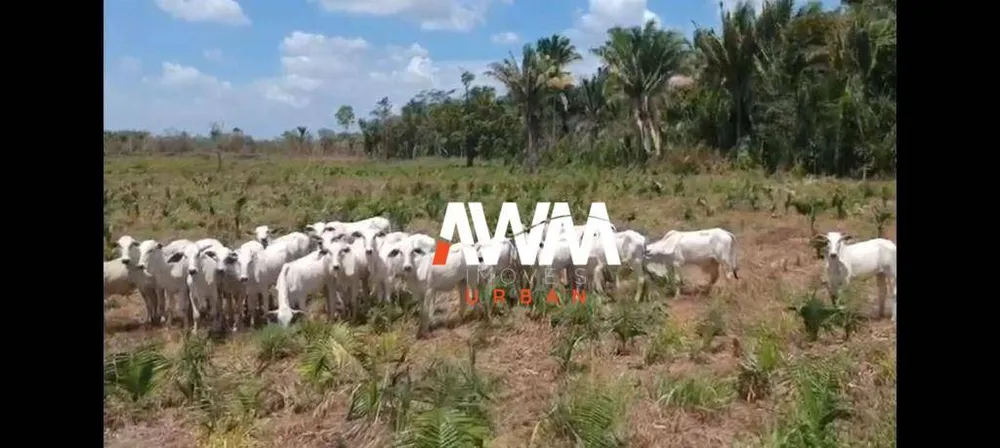 Fazenda, 333 hectares - Foto 6