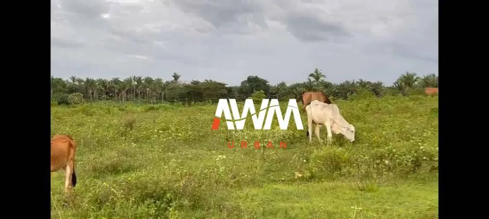 Fazenda, 333 hectares - Foto 4