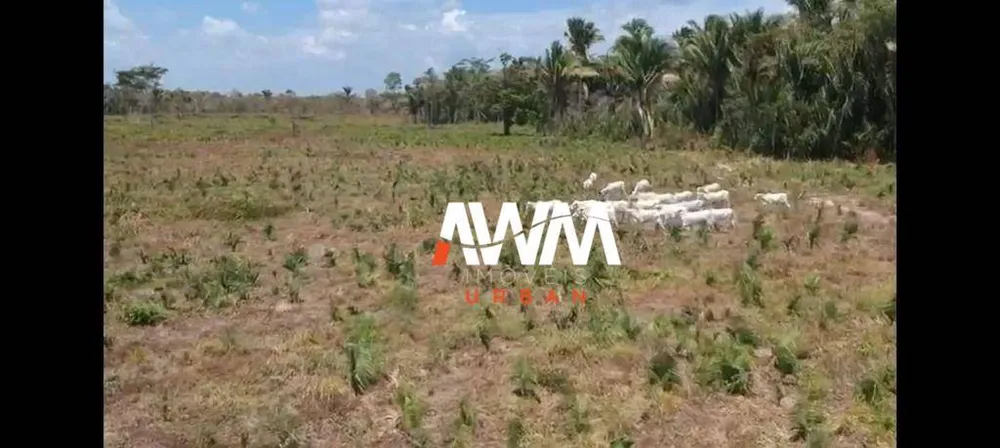 Fazenda, 333 hectares - Foto 3