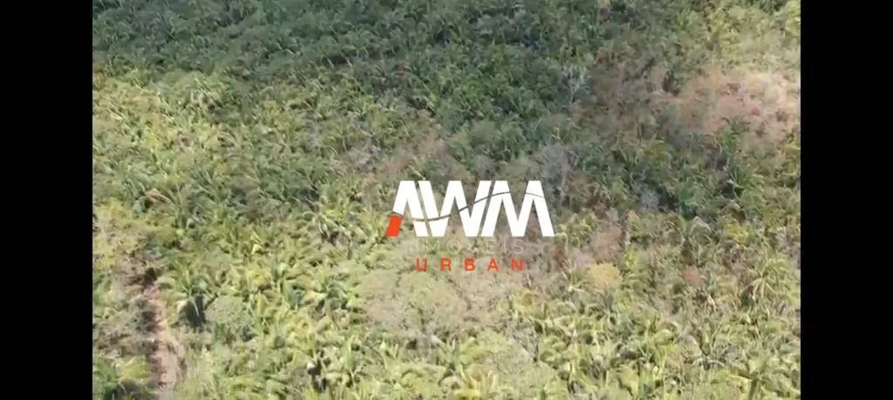 Fazenda, 333 hectares - Foto 2