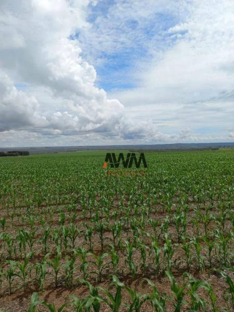Fazenda, 220 hectares - Foto 4