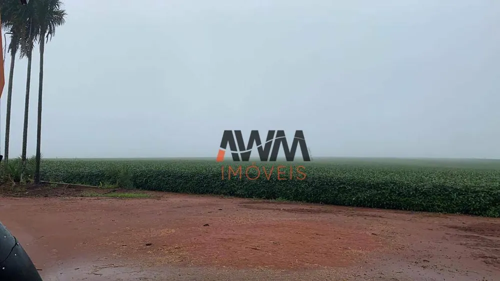 Fazenda, 220 hectares - Foto 13