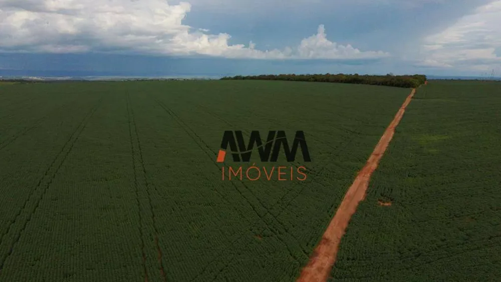 Fazenda, 220 hectares - Foto 11