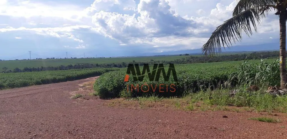 Fazenda, 220 hectares - Foto 9