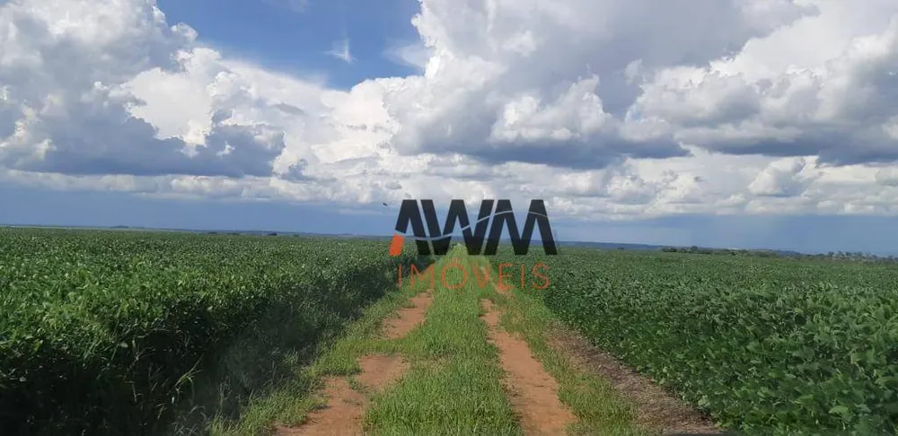 Fazenda, 220 hectares - Foto 12