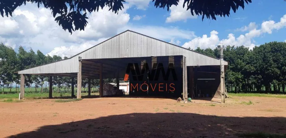 Fazenda, 220 hectares - Foto 2