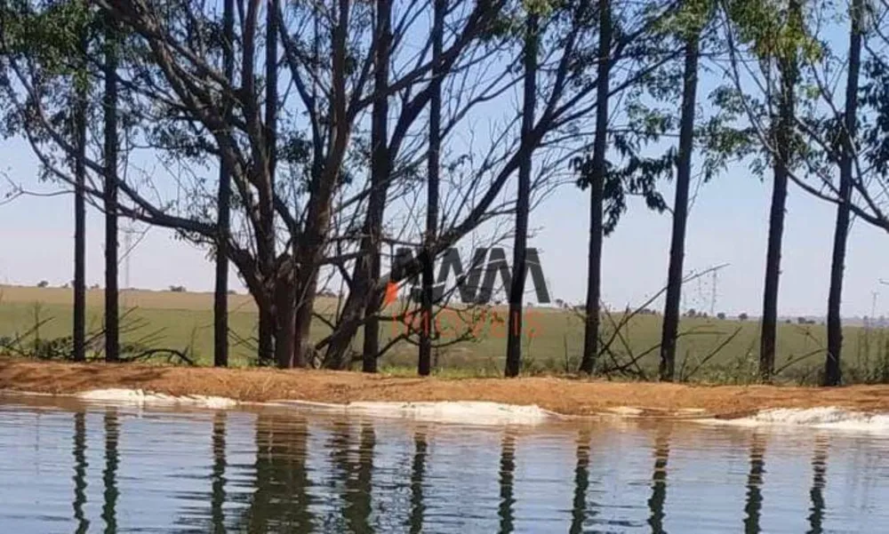 Fazenda, 220 hectares - Foto 8