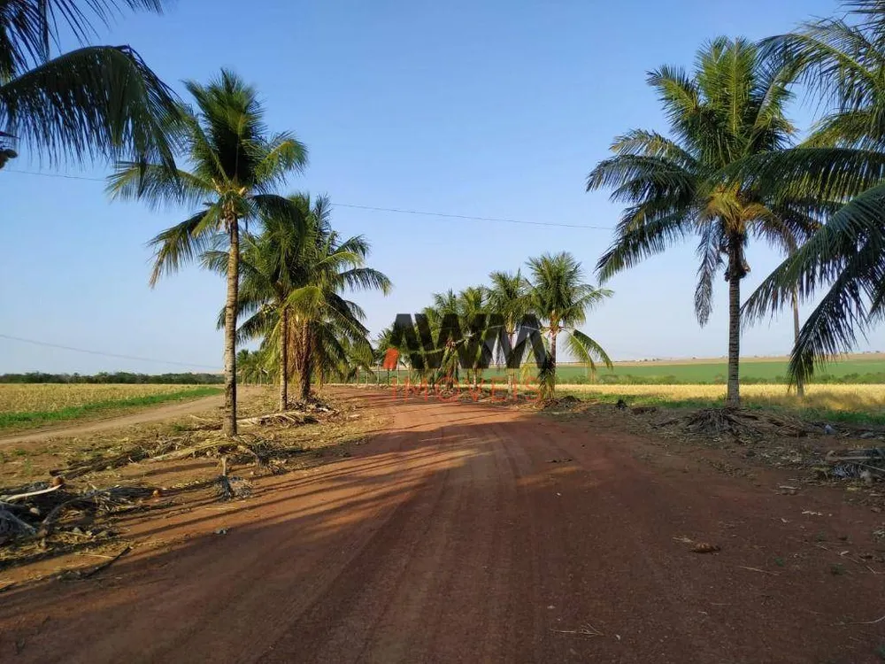 Fazenda, 220 hectares - Foto 10